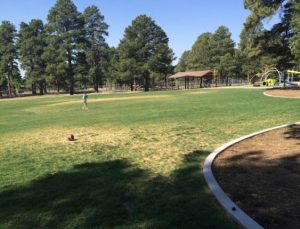 10 Favorite Activities to Enjoy at Bushmaster Park in Flagstaff, AZ 