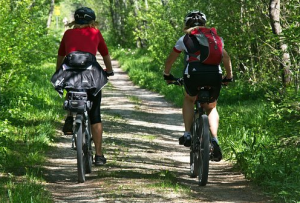 3 Best Places for Mountain Biking near Cottonwood
